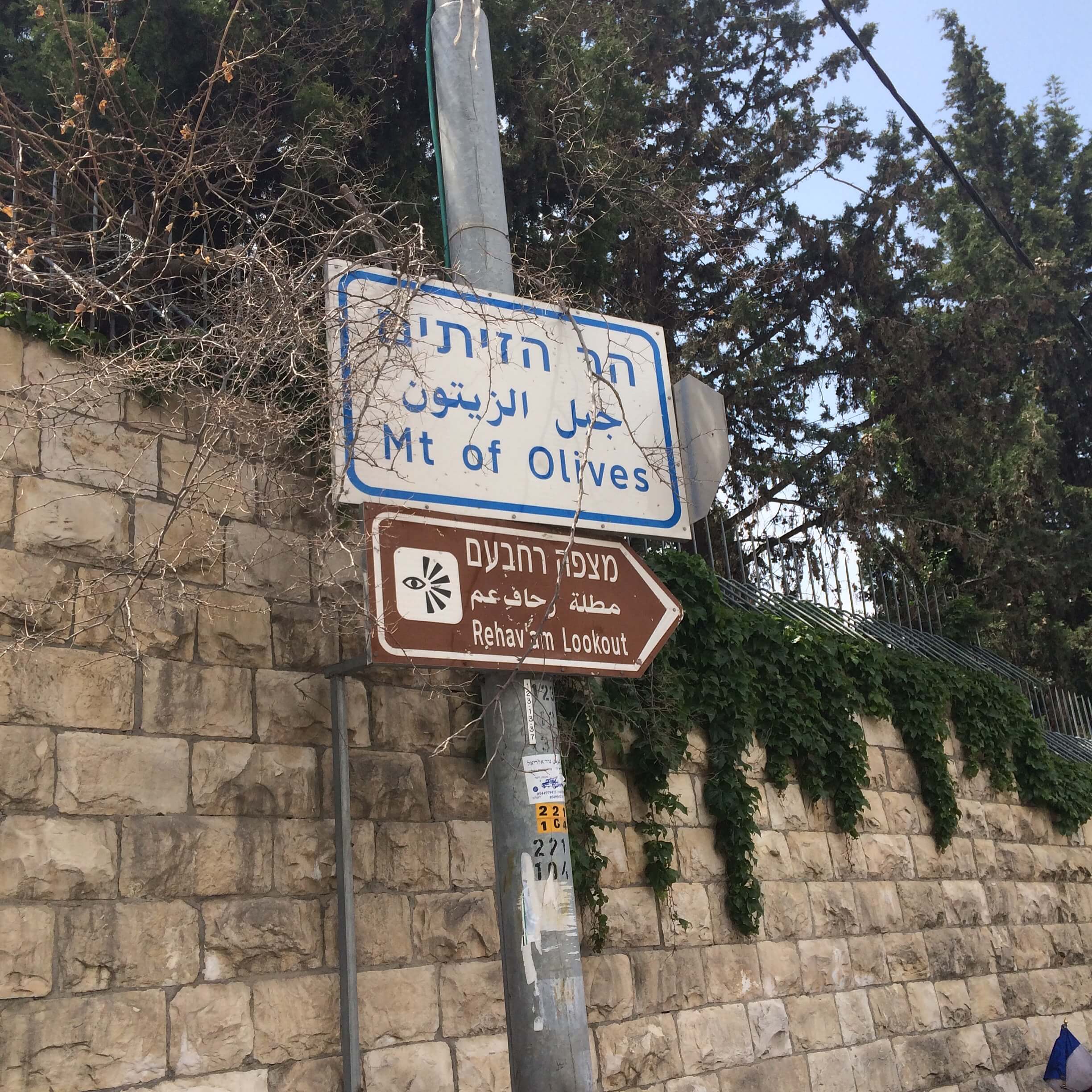 Even the Palestinian olive symbols are occupied via Israeli insignias. Image: Ahlam Najjar.